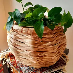 سبد حصیری