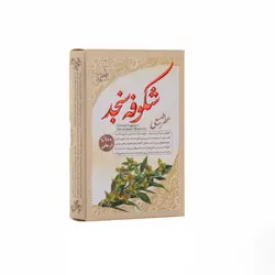 عطر شکوفه سنجد طبیعی چهار گرمی - مرهم طبیب