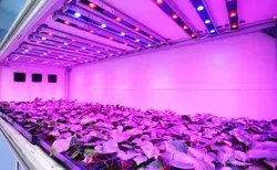 چراغ خطی رشد گیاه 50 سانتی 12 وات LED