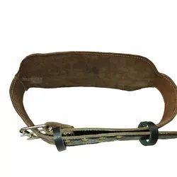 کمربند بدنسازی چرمی اعلا - گاومیش | حامدیان اسپرت