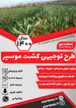 دانلود طرح توجیهی موسیر (1400)