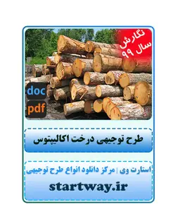 دانلود طرح توجیهی درخت اکالیپتوس 99