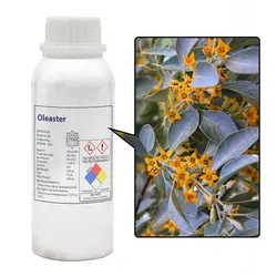 عطر سنجد | senjed - عطرانه پرفیوم