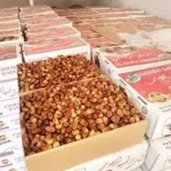 خرید و فروش عمده خرما – قیمت خرما عمده – کد2/1