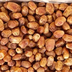 قیمت خرما زاهدی – خرید و فروش خرما زاهدی عمده – کد2/3