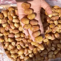 قیمت خرما زاهدی – خرید و فروش خرما زاهدی عمده – کد2/3