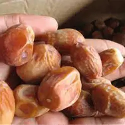قیمت خرما زاهدی – خرید و فروش خرما زاهدی عمده – کد2/3