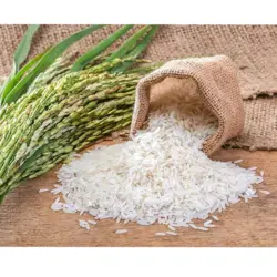 برنج شیرودی – خرید از تولید کننده – قیمت عمده – کد 1/4