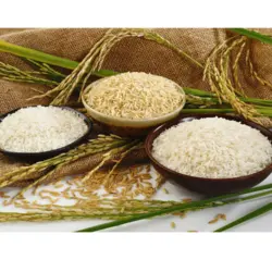 برنج ندا – قیمت عمده –  خرید بدون واسطه – کد 1/3