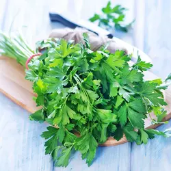 بذر جعفری درجه 1