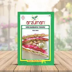 بذر لوبیا چیتی آرزومان