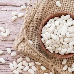 بذر لوبیا سفید