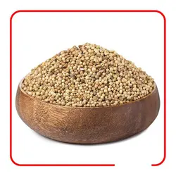 خرید و قیمت دانه و پودر تخم گشنیز + فواید و روش استفاده
