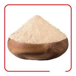 خرید و قیمت پودر و موسیر اسلایس شده (عمده و کیلویی)