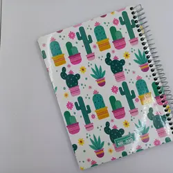 پلنر کاکتوس - مرسالند