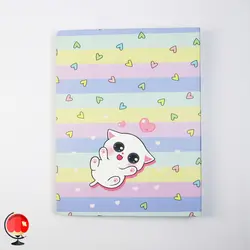 دفتر کلاسوری 100 برگ قفل فلزی طرح پیشی سویل