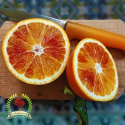 خرید پرتقال خونی شمال | محصولات غذایی کرامت