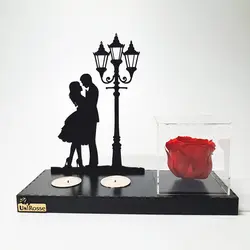 جاشمعی و رز جاودان مدل عاشقانه