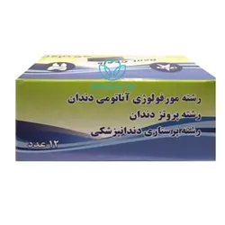 گچ مورفولوژی آناتومی دندان - اسپایدنت