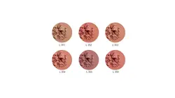 رژگونه لوسمنت حاوی روغن آرگان و آلوئه ورا شماره L354