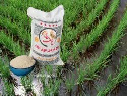 برنج دودی فوق اعلاء