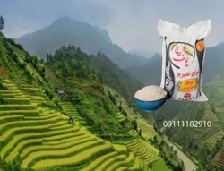 برنج عنبربو