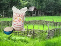 برنج قهوه ای