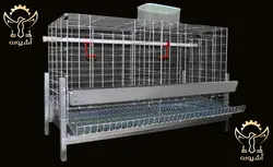 قفس مرغ یک طبقه - آشیونه - پرورش مرغ تخمگذار در منزل - قیمت قفس آپارتمانی مرغ