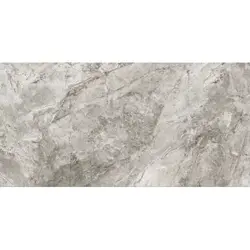 سرامیک گلدیس مدل ایساتیس 60*120 - فروشگاه رها