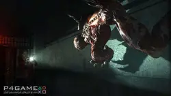 اکانت قانونی بازی RACCOON CITY EDITION
