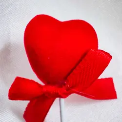 پک ولنتاین عروسک روسی و جا کلیدی آکواریومی | کاکتوسک