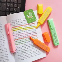 هایلایتر پاستیلی فانتزی 4 عددی | کاکتوسک