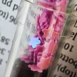 هایلایتر کهکشانی فانتزی 6 عددی | کاکتوسک