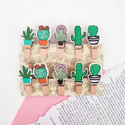 گیره چوبی کاکتوس فانتزی 10 عددی | کاکتوسک