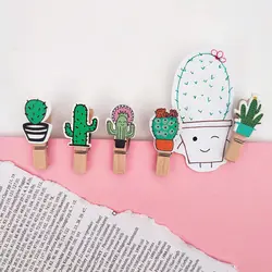 گیره چوبی کاکتوس فانتزی 10 عددی | کاکتوسک