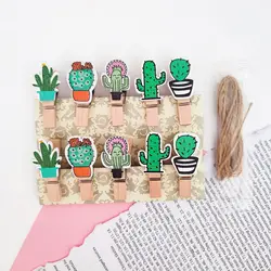 گیره چوبی کاکتوس فانتزی 10 عددی | کاکتوسک