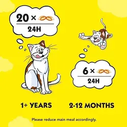 تشویقی گربه دریمیز طعم پنیر 60 گرم  Dreamies Treat With Cheese 60g