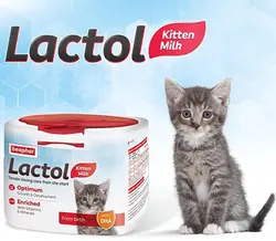 شیر خشک گربه برند بیفار وزن 500 گرم