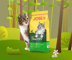 غذای خشک جوسرا گربه بالغ با طعم گوشت مرغ 10 کیلویی  Josera Josicat Chicken 10kg