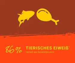 غذای خشک جوسرا گربه طعم سالمونsterilised Josera Classic Salmon وزن 10 کیلوگرم