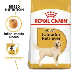 غذای خشک سگ رویال کنین لابرادور بالغ labrador adult وزن 12 کیلوگرم