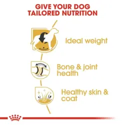 غذای خشک سگ رویال کنین لابرادور بالغ labrador adult وزن 12 کیلوگرم