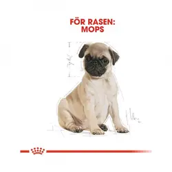 غذای خشک سگ رویال کنین مدل Pug Puppy وزن 1.5 کیلوگرم