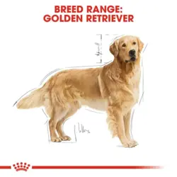 غذای خشک سگ رویال کنین نژاد گلدن بالغ Golden adult وزن 12 کیلوگرم