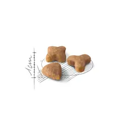 غذای خشک گربه بالغ رویال کنین مدل Sensible وزن 2 کیلوگرم