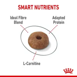 غذای خشک گربه رویال کنین Light Weight Care وزن 1.5 کیلوگرم