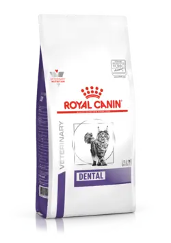 غذای خشک گربه مراقبت از دندان رویال کنین مدل Dental وزن 3 کیلوگرم