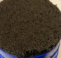 خاویار سیاه | بلک