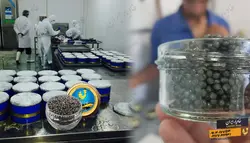 انواع خاویار | خاویار 5 ستاره ایران