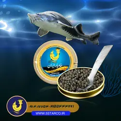 خرید آنلاین خاویار | خاویار 5 ستاره ایران